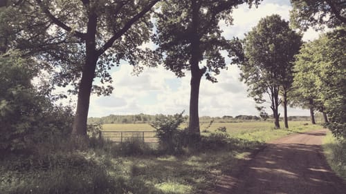 Rund um das Nienwohlder Moor