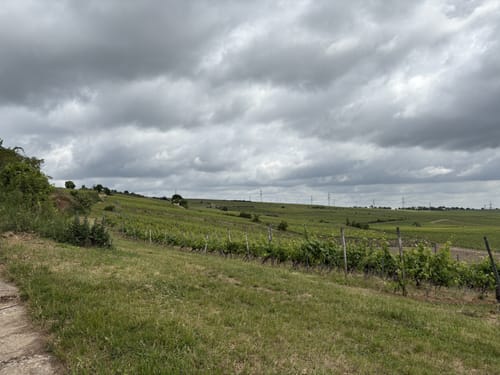 Westhofen - Wiesensee