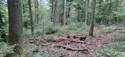 Heuchelberg und Hornberg