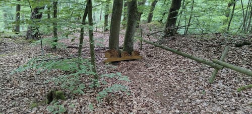 Heuchelberg und Hornberg