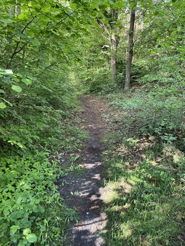 Westlich von Selmsdorf