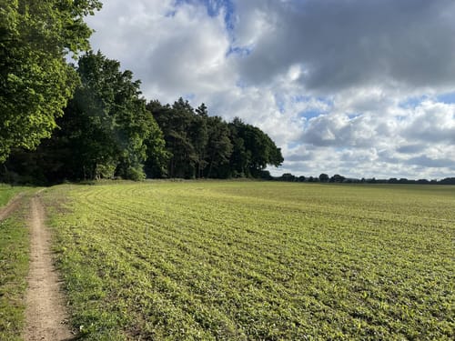 Westlich von Selmsdorf