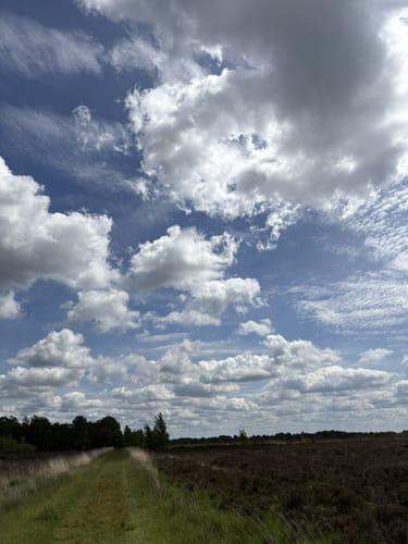 Dosenmoor und Einfelder Schanze