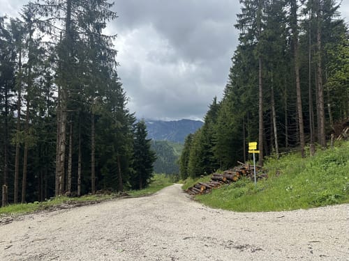 Von Dürrnberg zum Zinkenkopf