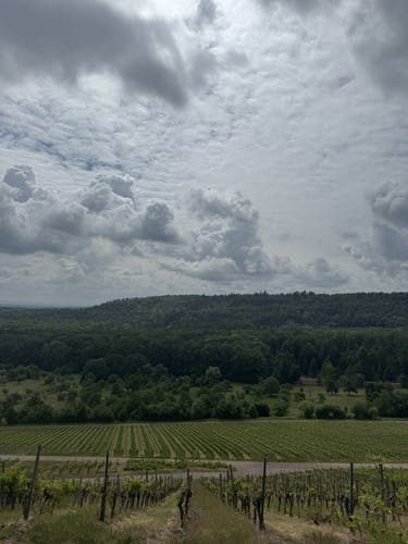 Bönnigheim - Ochsenbach