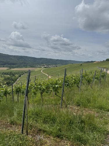 Bönnigheim - Ochsenbach