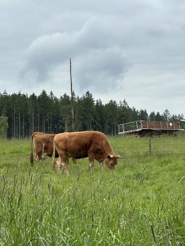 Kleiner Rundwanderweg Finsterbergen