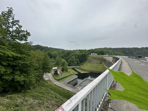 Rappbodetal: Rotestein - Altenbrak - Wendefurth