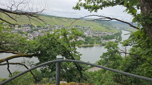 Klüsserather Sagenweg (Moselsteig Seitensprung)