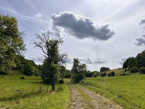 Wettelrode - Kalmusgrund