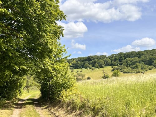 Wettelrode - Kalmusgrund