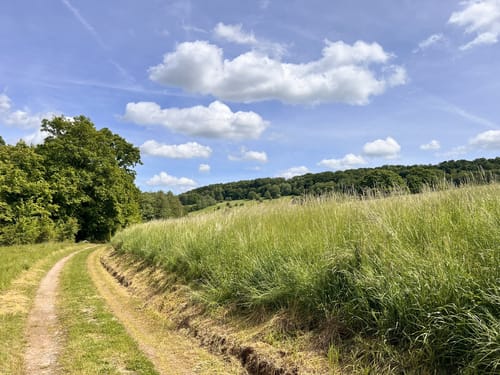 Wettelrode - Kalmusgrund
