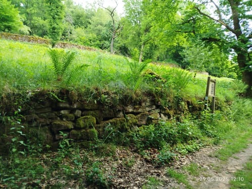 Cross Rad Wandertour mit Teufelskanzel Aussicht zum Neckar
