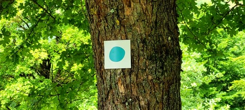 Hexenpfad bei Fischbach/Röhn