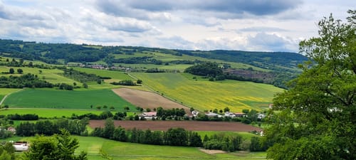 Hexenpfad bei Fischbach/Röhn