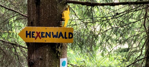 Hexenpfad bei Fischbach/Röhn