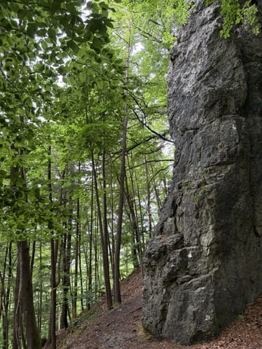 Die versunkenen Gärten von Schloss Greifenstein