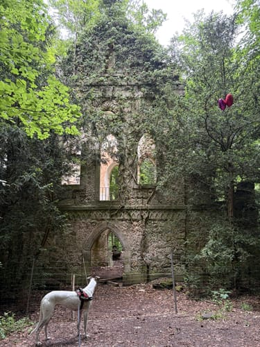 Die versunkenen Gärten von Schloss Greifenstein