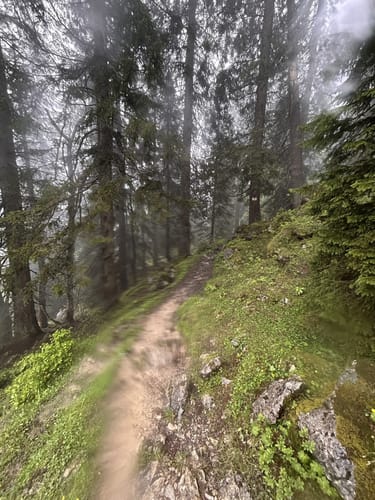 Spitzstein von Innerwald