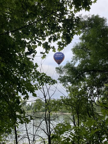 Von der Bürgerheide entlang dem Rhein