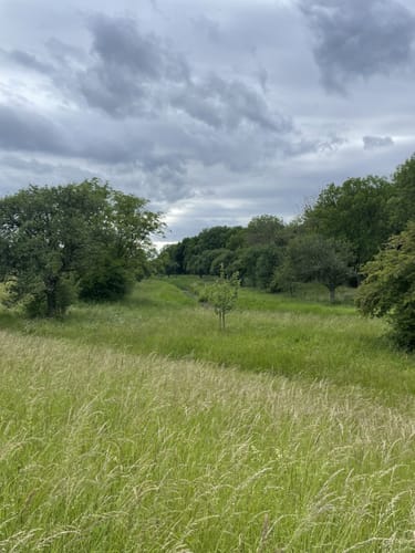 Von der Bürgerheide entlang dem Rhein