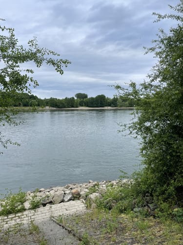 Von der Bürgerheide entlang dem Rhein