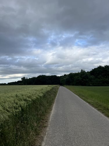 Rund ums Tüdderner Fenn