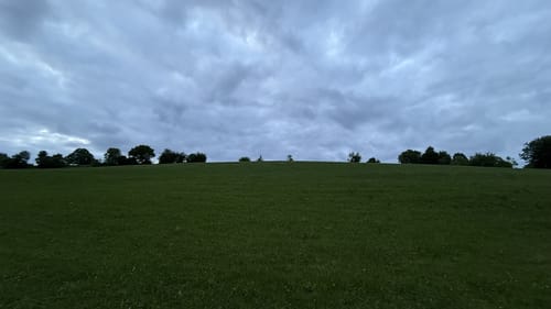 Ruine Waldeck - Fledermauspfad