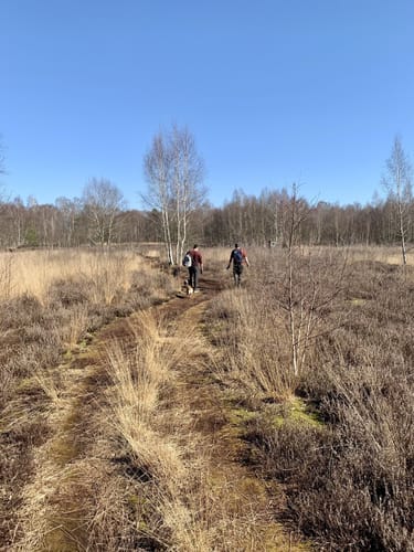 Provinzialmoor und Fullener Wald