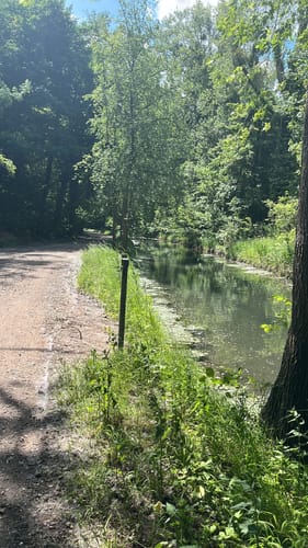 Um den Baggersee Sehring