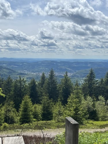 Schmücke - Hochmoor am Beerberg - Schneekopf