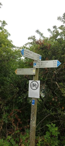 Rheinsteig Etappe 13: Kamp-Bornhofen - Kestert