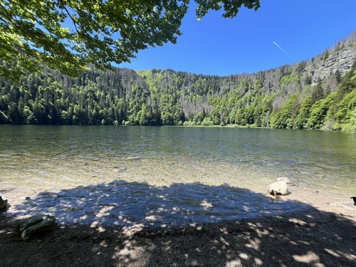 Um den Feldsee