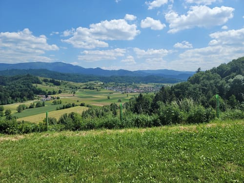 Rund um den Hornwald und die Hochburg