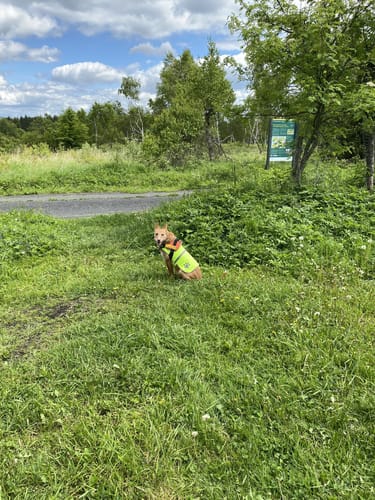 Bad Einsiedel Runde