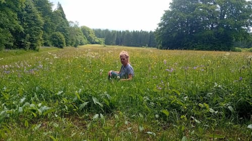 Vulkanring Vogelsberg Etappe 4: Herchenhain - Herbstein