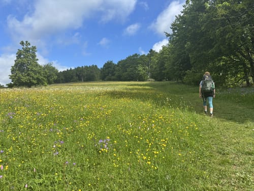 Vulkanring Vogelsberg Etappe 4: Herchenhain - Herbstein
