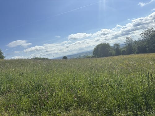 Vulkanring Vogelsberg Etappe 4: Herchenhain - Herbstein