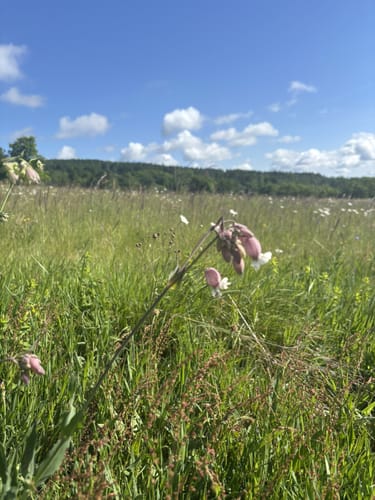 Vulkanring Vogelsberg Etappe 4: Herchenhain - Herbstein
