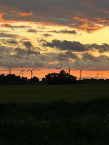 Besenhorster Sandberge und Elbsandwiesen