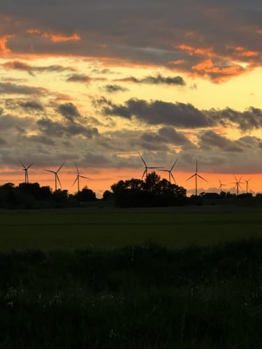 Besenhorster Sandberge und Elbsandwiesen