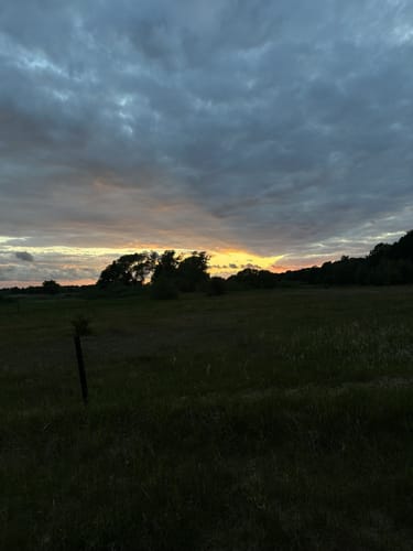 Besenhorster Sandberge und Elbsandwiesen