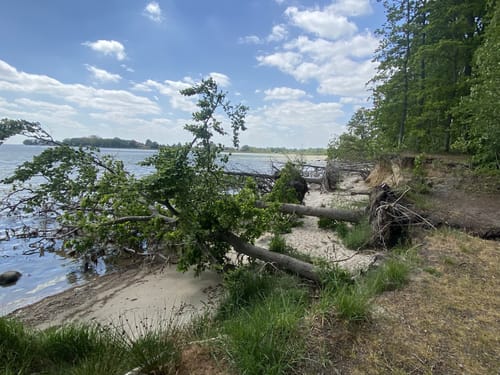 Putbus - Neuendorf - Wreechen