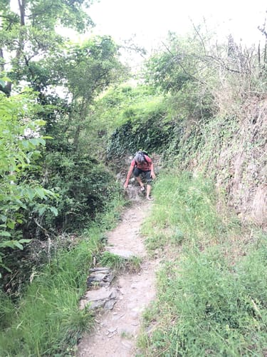Rheinsteig Etappe 14: Kestert - St. Goarshausen