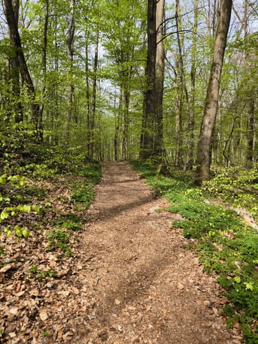 Naturlehrpfad Durchbruchstal der Warnow und der Mildenitz