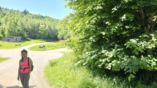 Merkur via Fuchsweg