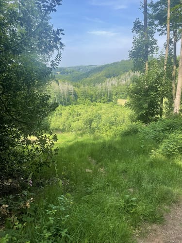 Wanderrunde Bergisches Land ab Schöllerhof