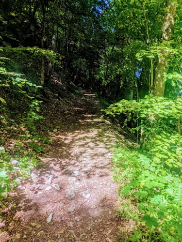 HOCHGEHBERGE I "hochgehlegen" (Premiumwanderweg)