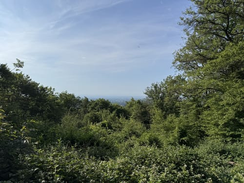 Bürgelplatte und Burgruine Falkenstein ab Kronberg