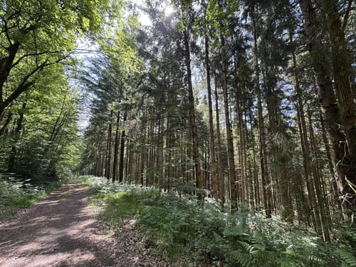 Geiselberg - Heltersbeg
